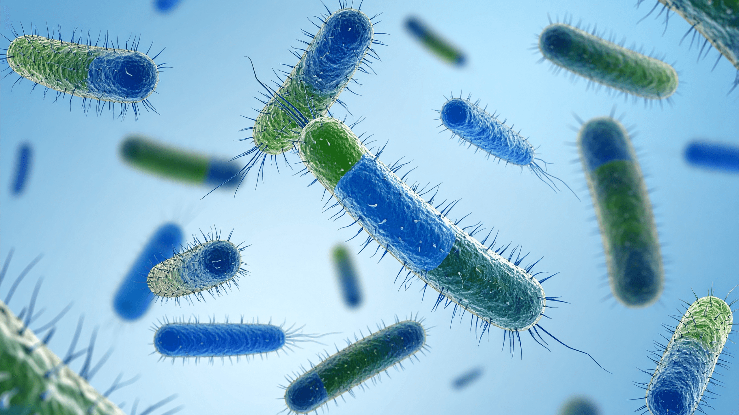 Legionela: Sve što trebate znati o opasnoj bolesti koja se širi zrakom