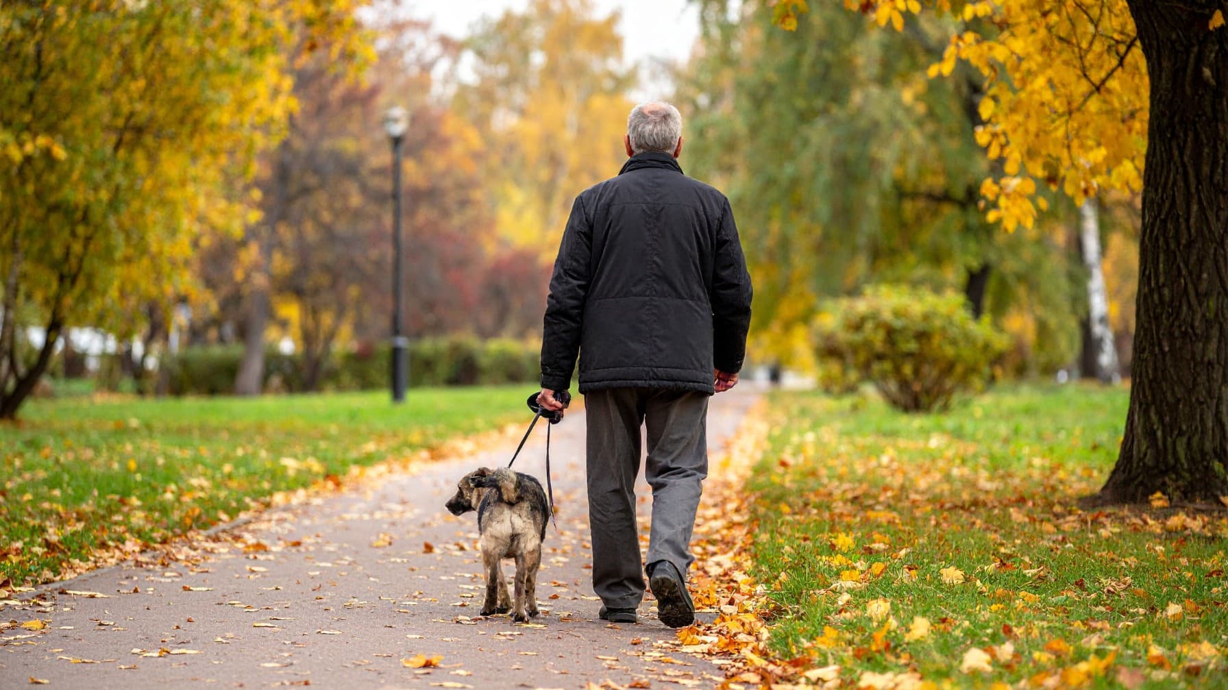 Kućni ljubimci i kvaliteta zraka: Kako PM čestice utječu na pse i mačke?